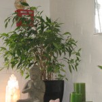 IMG_3346